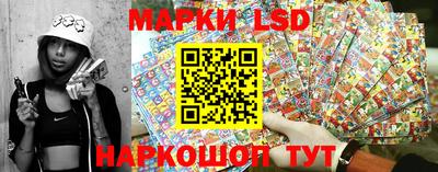 винт Тара