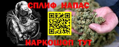 винт Тара