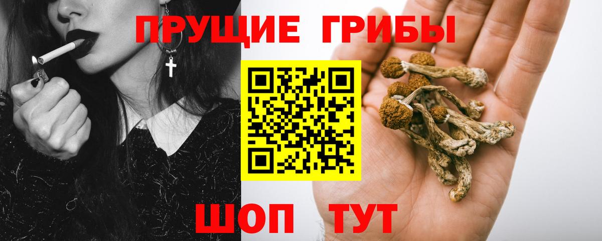 Псилоцибиновые грибы Cubensis  Вход с VPN  купить наркотики цена  Шахты 